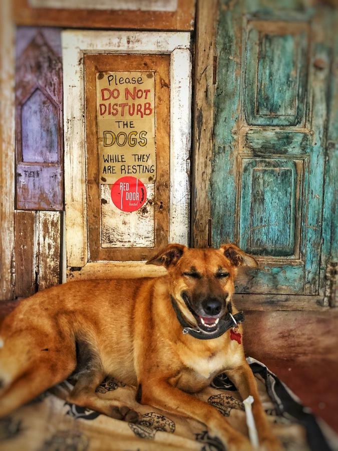 Red Door Hostel Анжуна Экстерьер фото